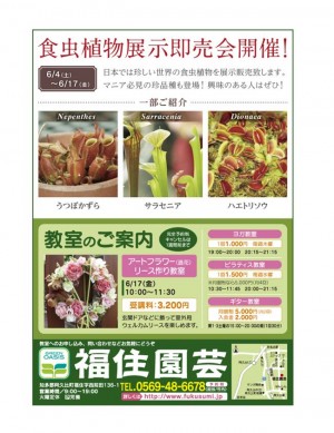 6月のイベント＆教室のご案内