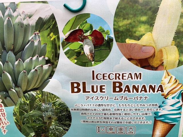 アイスクリームバナナ